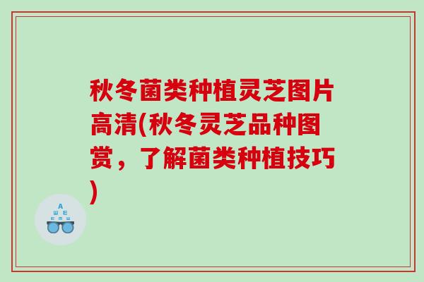 秋冬菌类种植灵芝图片高清(秋冬灵芝品种图赏，了解菌类种植技巧)