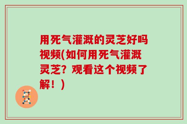 用死气灌溉的灵芝好吗视频(如何用死气灌溉灵芝？观看这个视频了解！)