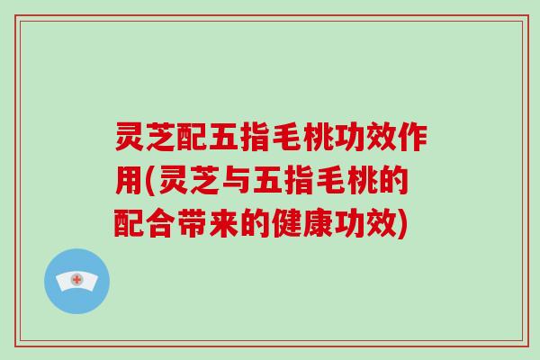 灵芝配五指毛桃功效作用(灵芝与五指毛桃的配合带来的健康功效)