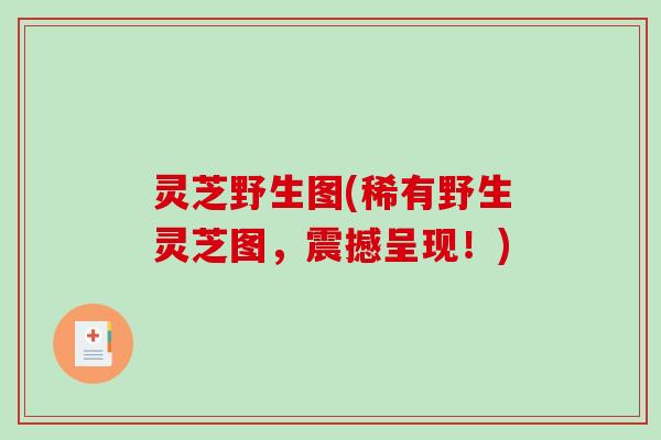 灵芝野生图(稀有野生灵芝图，震撼呈现！)