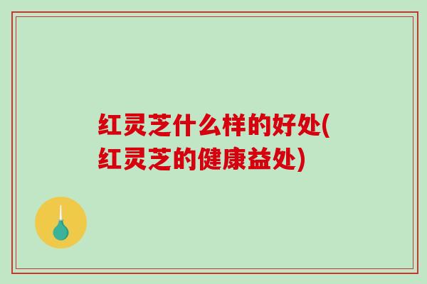 红灵芝什么样的好处(红灵芝的健康益处)