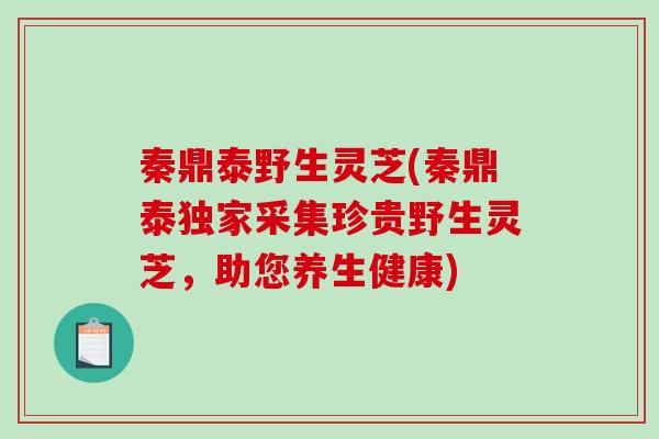 秦鼎泰野生灵芝(秦鼎泰独家采集珍贵野生灵芝，助您养生健康)