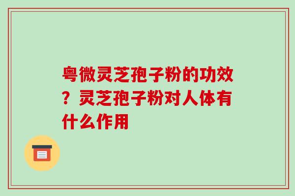 粤微灵芝孢子粉的功效？灵芝孢子粉对人体有什么作用