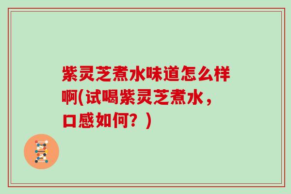 紫灵芝煮水味道怎么样啊(试喝紫灵芝煮水，口感如何？)