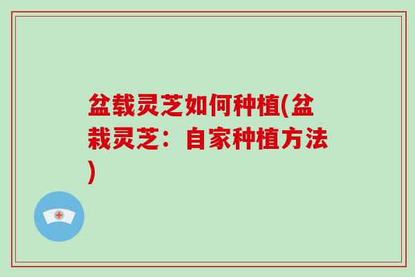 盆载灵芝如何种植(盆栽灵芝:自家种植方法) 盆载灵芝如何种植(盆栽灵芝:自家种植方法)