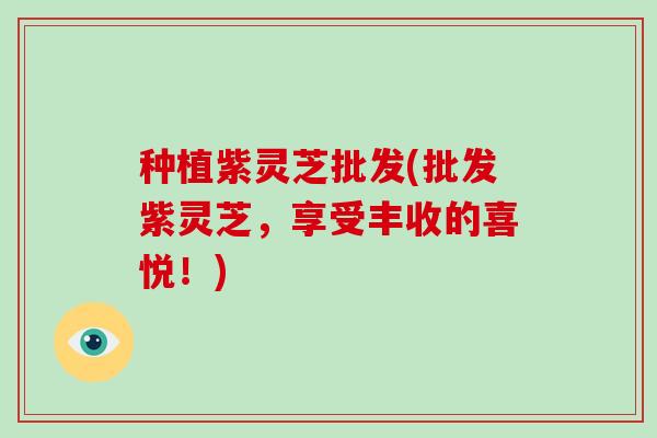 种植紫灵芝批发(批发紫灵芝，享受丰收的喜悦！)