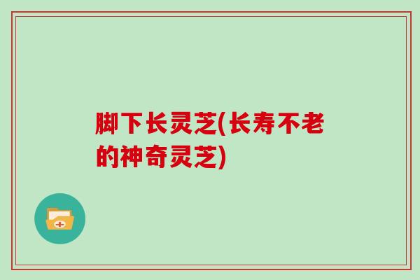 脚下长灵芝(长寿不老的神奇灵芝)