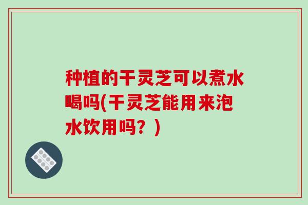 种植的干灵芝可以煮水喝吗(干灵芝能用来泡水饮用吗？)