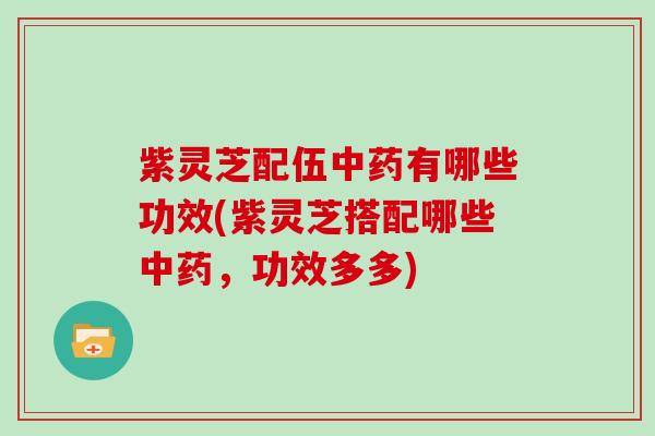 紫灵芝配伍有哪些功效(紫灵芝搭配哪些，功效多多)