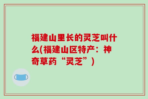 福建山里长的灵芝叫什么(福建山区特产：神奇草药“灵芝”)