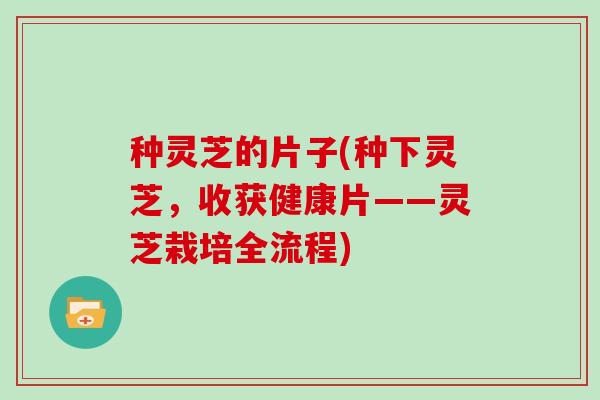 种灵芝的片子(种下灵芝，收获健康片——灵芝栽培全流程)
