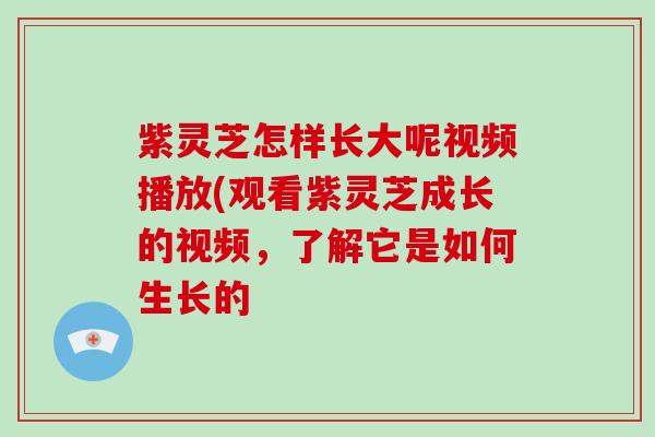 紫灵芝怎样长大呢视频播放(观看紫灵芝成长的视频，了解它是如何生长的