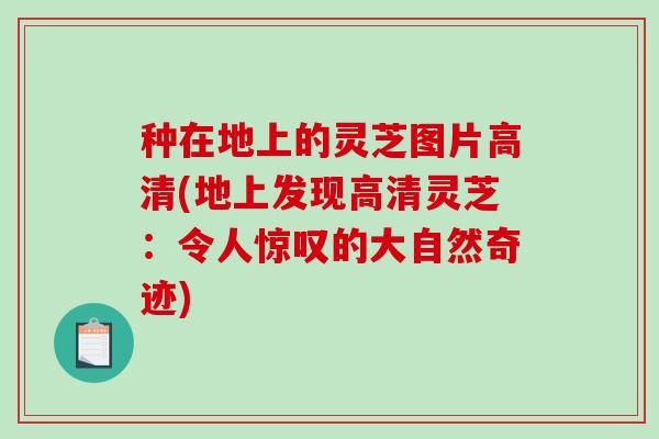 种在地上的灵芝图片高清(地上发现高清灵芝：令人惊叹的大自然奇迹)