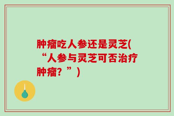 吃人参还是灵芝(“人参与灵芝可否？”)