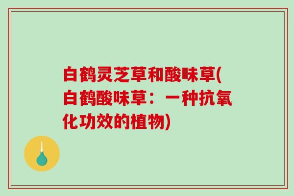 白鹤灵芝草和酸味草(白鹤酸味草：一种功效的植物)