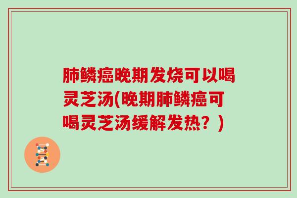 鳞晚期发烧可以喝灵芝汤(晚期鳞可喝灵芝汤缓解发热？)