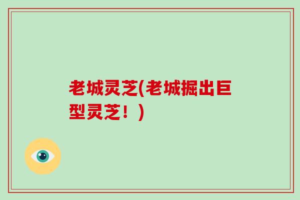 老城灵芝(老城掘出巨型灵芝！)