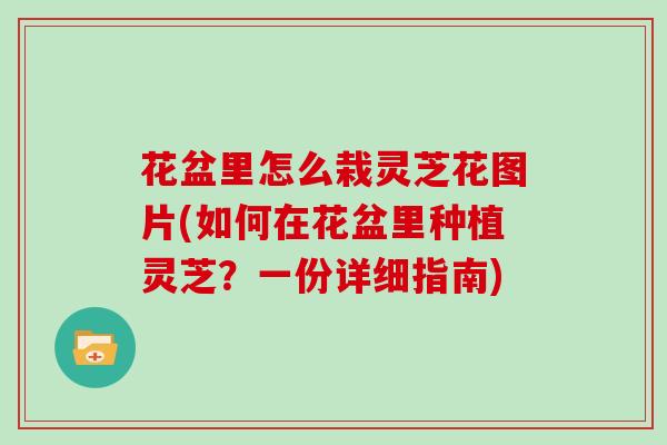 花盆里怎么栽灵芝花图片(如何在花盆里种植灵芝？一份详细指南)