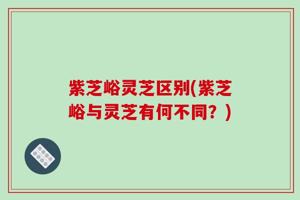 紫芝峪灵芝区别(紫芝峪与灵芝有何不同？)