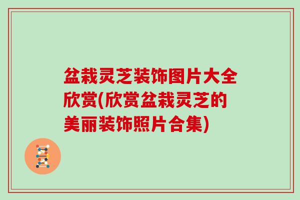 盆栽灵芝装饰图片大全欣赏(欣赏盆栽灵芝的美丽装饰照片合集)