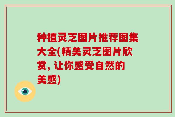 种植灵芝图片推荐图集大全(精美灵芝图片欣赏, 让你感受自然的美感)