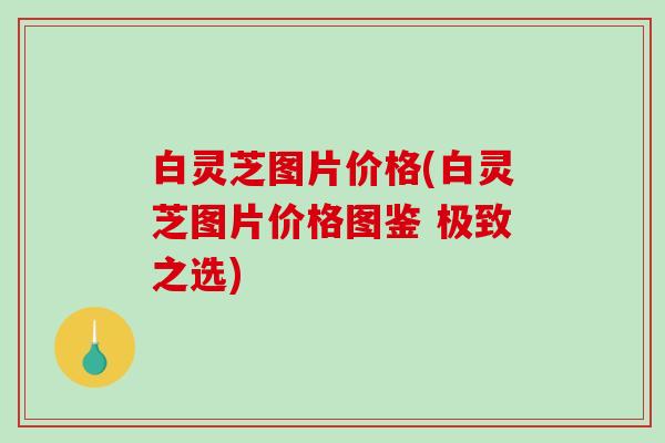 白灵芝图片价格(白灵芝图片价格图鉴 极致之选)