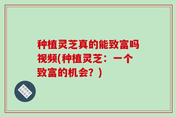 种植灵芝真的能致富吗视频(种植灵芝：一个致富的机会？)