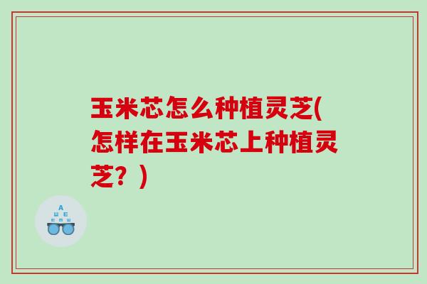 玉米芯怎么种植灵芝(怎样在玉米芯上种植灵芝？)