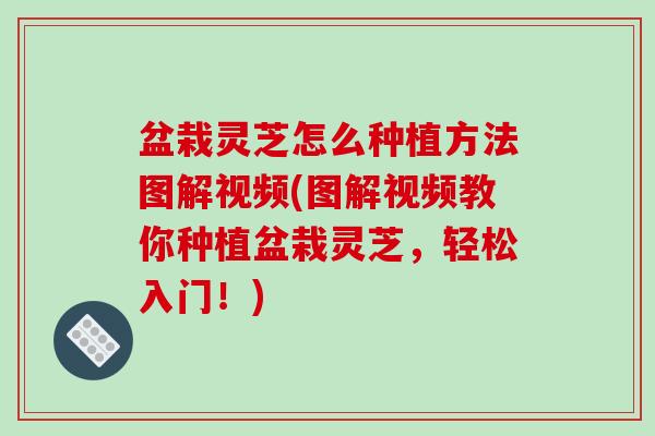 盆栽灵芝怎么种植方法图解视频(图解视频教你种植盆栽灵芝，轻松入门！)