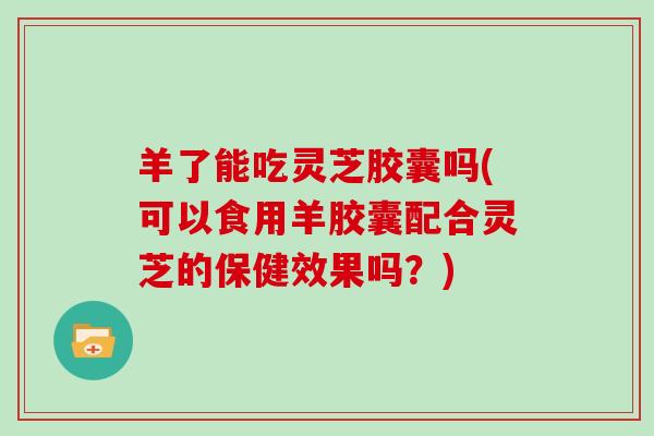 羊了能吃灵芝胶囊吗(可以食用羊胶囊配合灵芝的保健效果吗？)