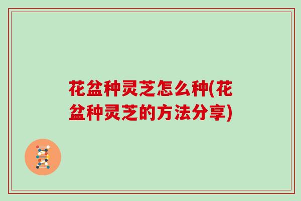 花盆种灵芝怎么种(花盆种灵芝的方法分享)