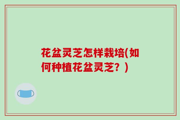 花盆灵芝怎样栽培(如何种植花盆灵芝？)