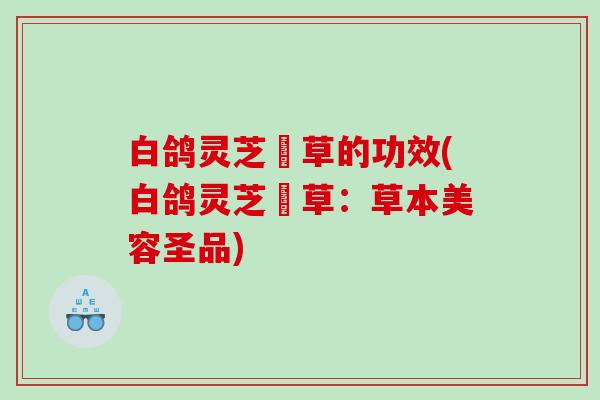 白鸽灵芝廯草的功效(白鸽灵芝廯草：草本美容圣品)