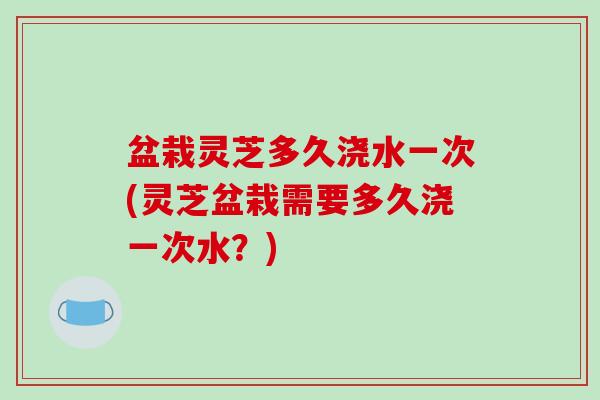 盆栽灵芝多久浇水一次(灵芝盆栽需要多久浇一次水？)