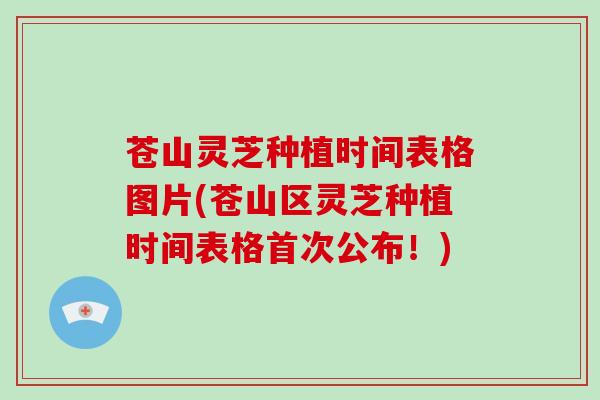 苍山灵芝种植时间表格图片(苍山区灵芝种植时间表格首次公布！)