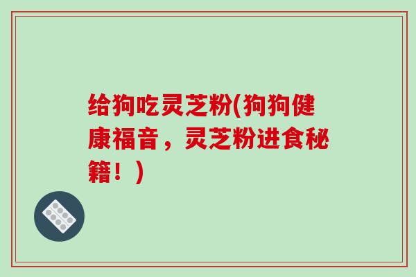 给狗吃灵芝粉(狗狗健康福音，灵芝粉进食秘籍！)