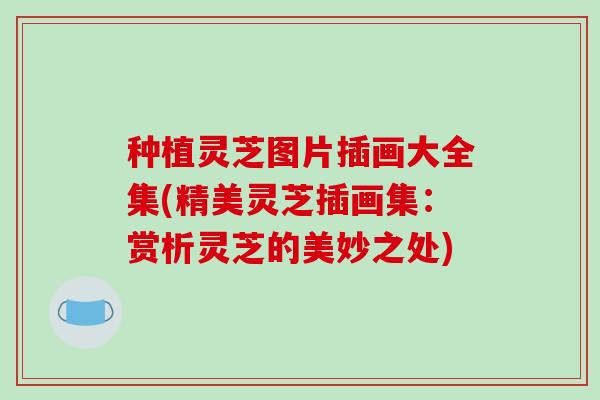 种植灵芝图片插画大全集(精美灵芝插画集：赏析灵芝的美妙之处)