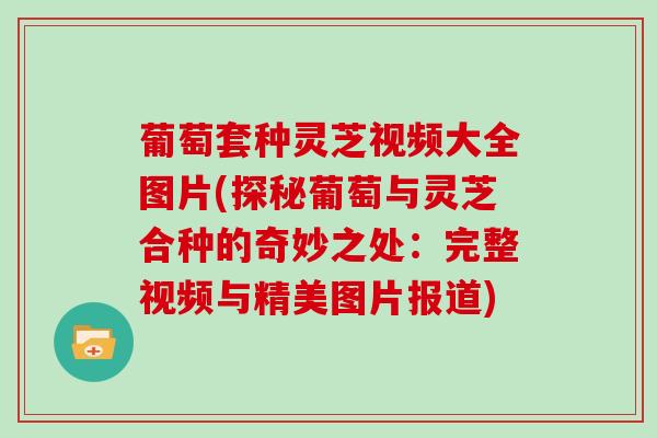 葡萄套种灵芝视频大全图片(探秘葡萄与灵芝合种的奇妙之处：完整视频与精美图片报道)