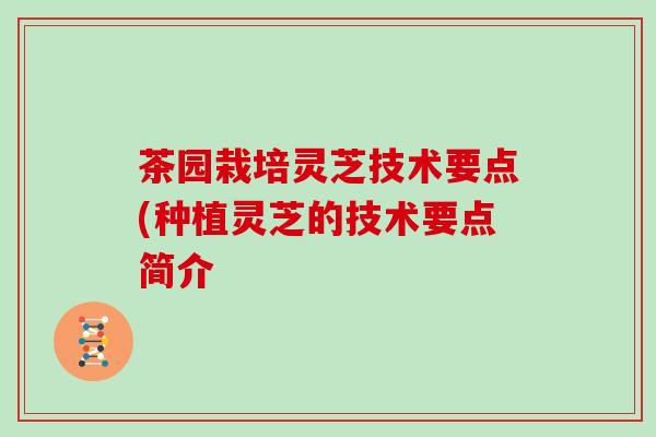 茶园栽培灵芝技术要点(种植灵芝的技术要点简介