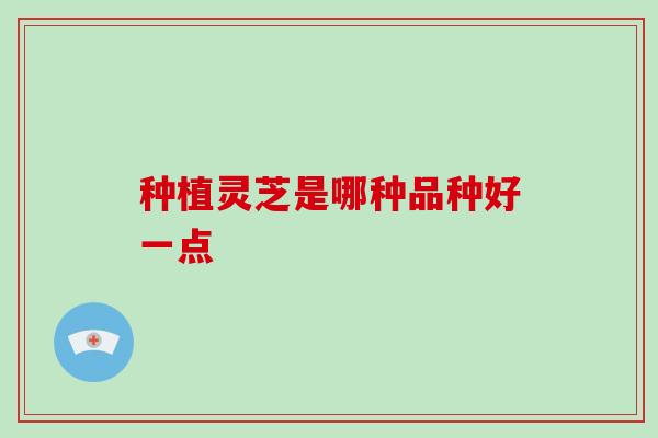 种植灵芝是哪种品种好一点