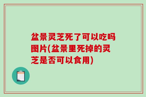 盆景灵芝死了可以吃吗图片(盆景里死掉的灵芝是否可以食用)