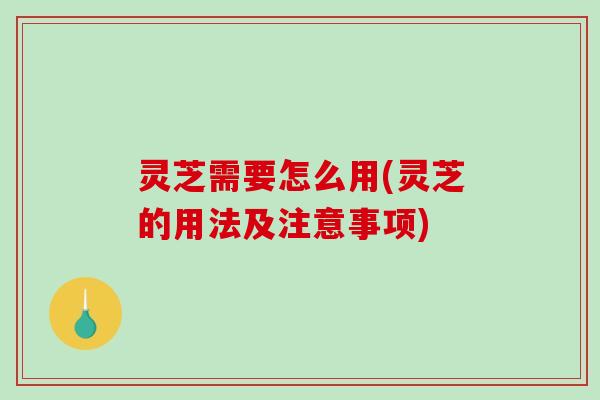 灵芝需要怎么用(灵芝的用法及注意事项)