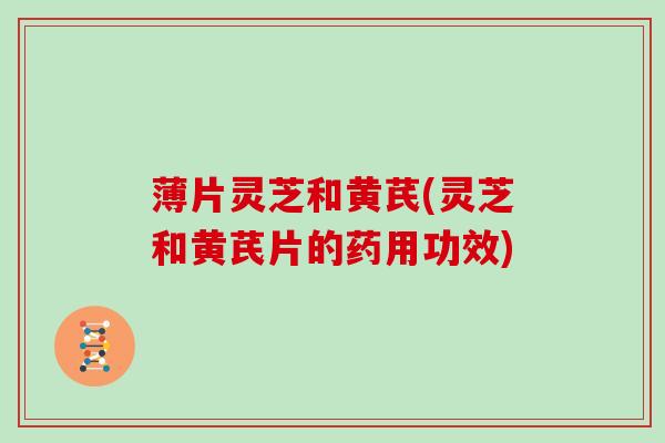 薄片灵芝和黄芪(灵芝和黄芪片的药用功效)