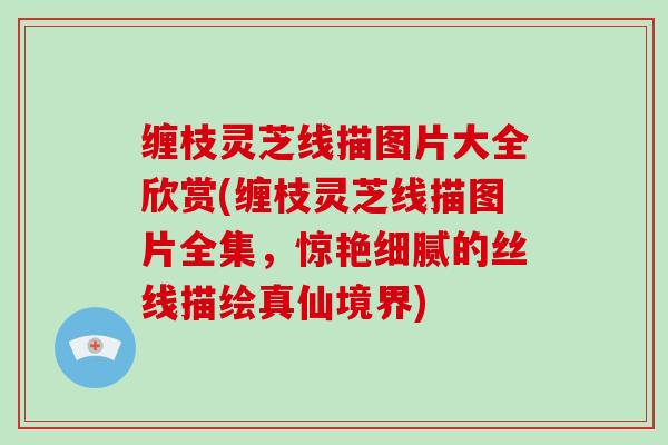缠枝灵芝线描图片大全欣赏(缠枝灵芝线描图片全集，惊艳细腻的丝线描绘真仙境界)
