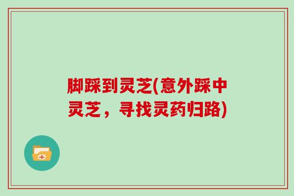脚踩到灵芝(意外踩中灵芝，寻找灵药归路)