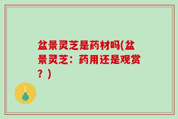 盆景灵芝是药材吗(盆景灵芝：药用还是观赏？)