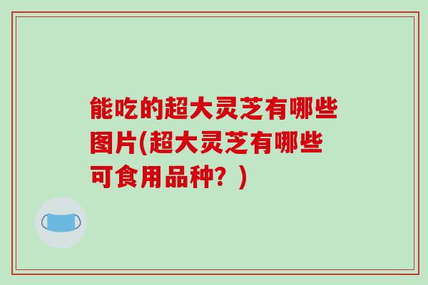 能吃的超大灵芝有哪些图片(超大灵芝有哪些可食用品种？)