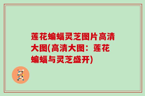 莲花蝙蝠灵芝图片高清大图(高清大图：莲花蝙蝠与灵芝盛开)