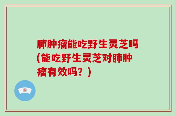 能吃野生灵芝吗(能吃野生灵芝对有效吗？)