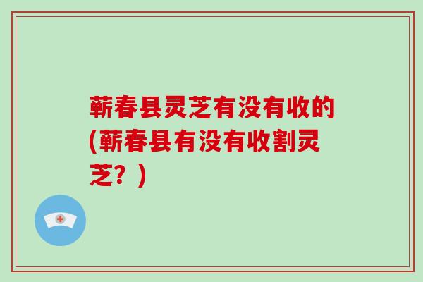 蕲春县灵芝有没有收的(蕲春县有没有收割灵芝？)